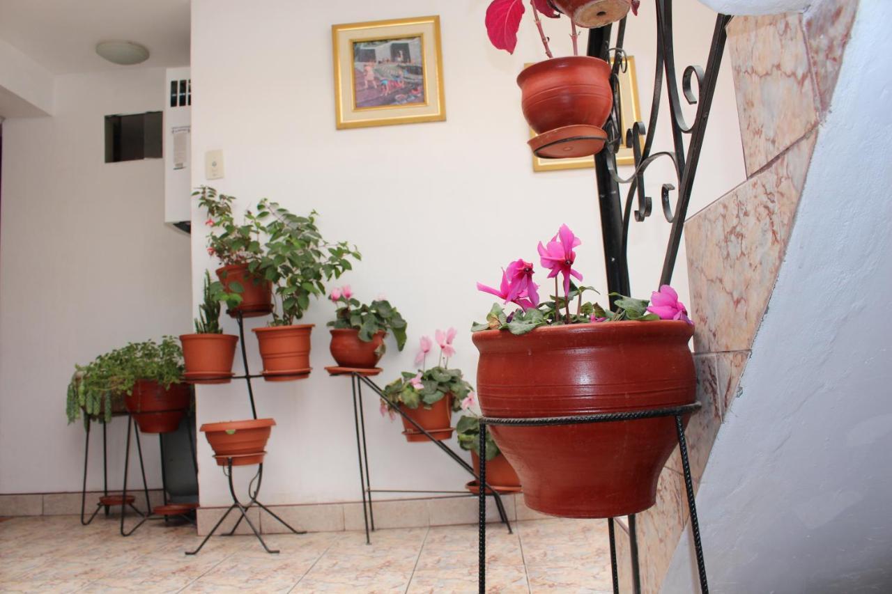 Kennedy Guest House Cuzco Esterno foto